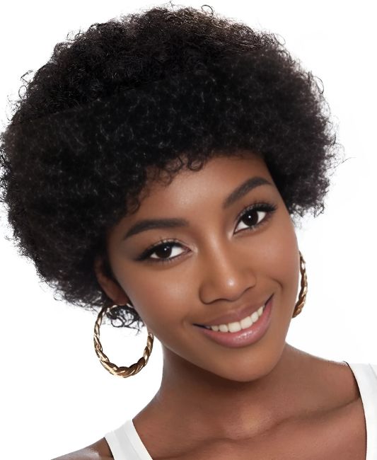 Short human hair afro wigs